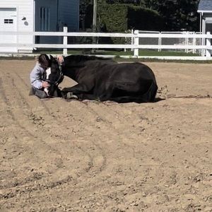 Meet your Posher, Alyssia